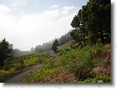 DSC00766 * 2304 x 1728 * (1.86MB)