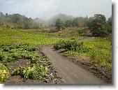 DSC00767 * 2304 x 1728 * (1.91MB)