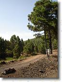 DSC00776 * 1728 x 2304 * (1.79MB)